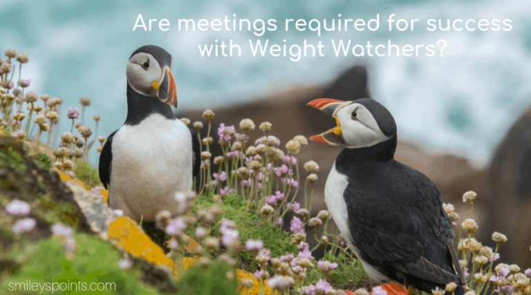 Online vs In Person Meetings with Weight Watchers