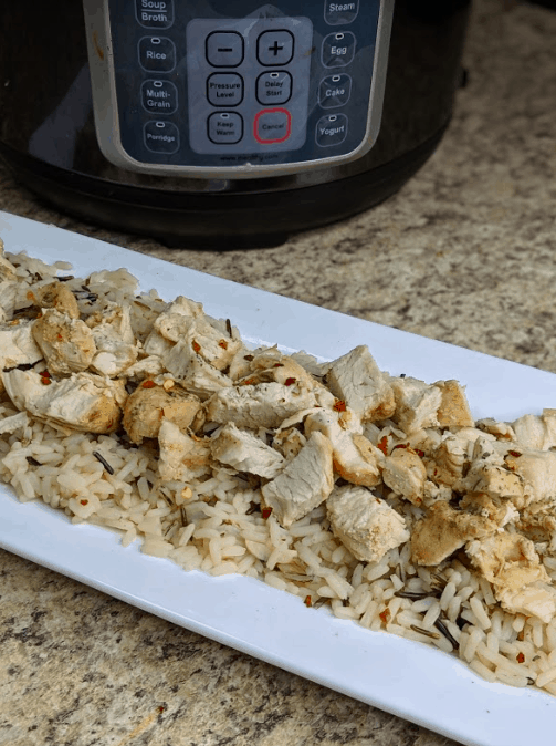 Instant Pot Saucy Chicken and Rice