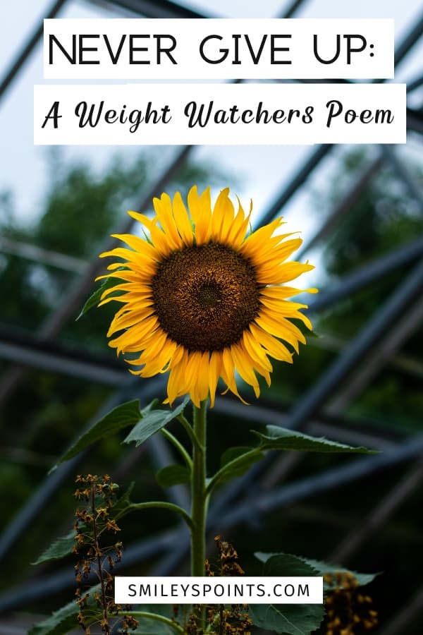 Never-Give-Up_-A-Weight-Watchers-Poem