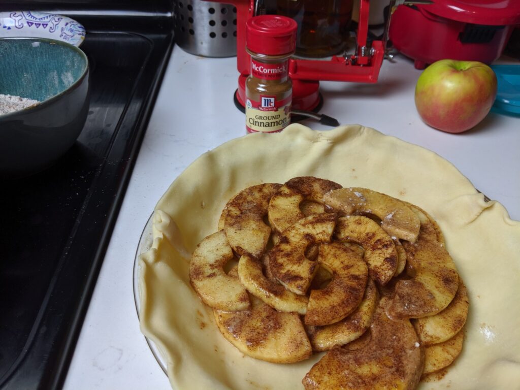 Cinnamon and apple pie