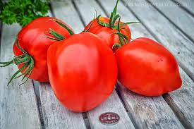 Russian roma tomatoes