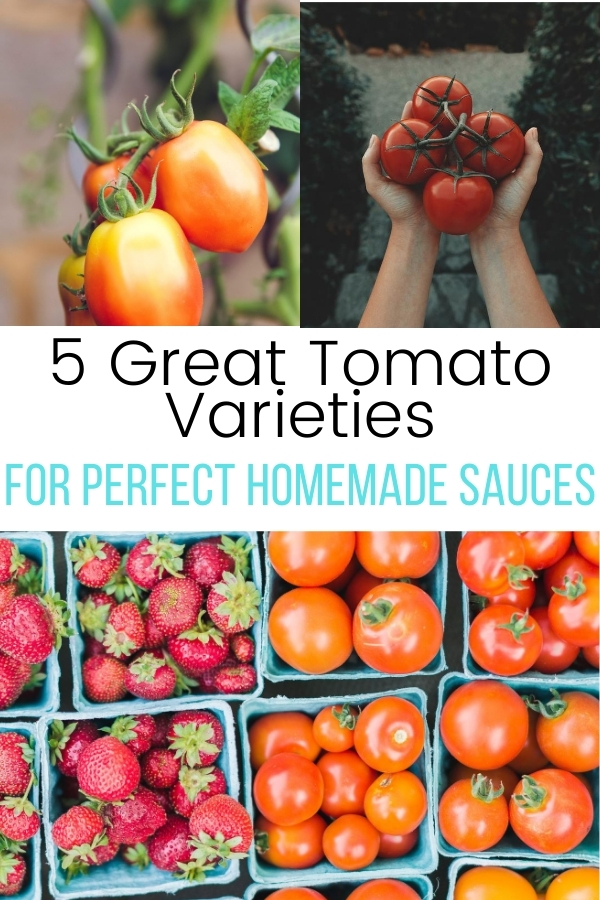 5 Great Tomato Varieties for Perfect Homemade Sauces