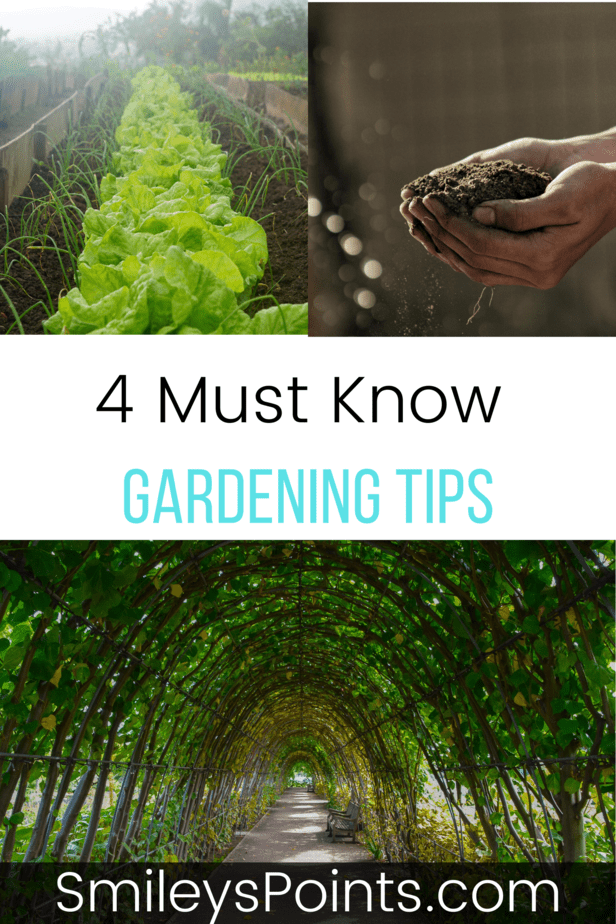 4 Must-Know Vegetable Gardening Tips