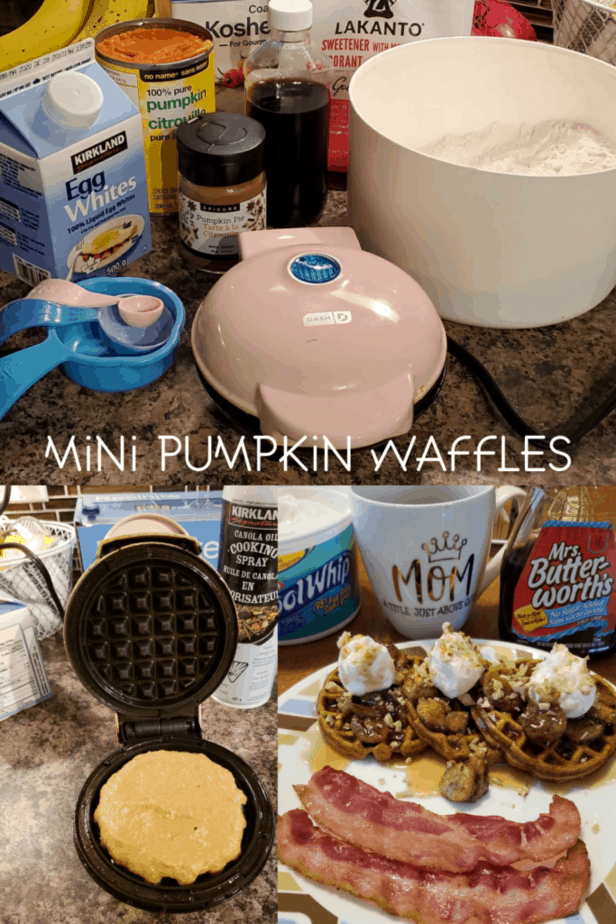 dash mini waffle maker ww recipes