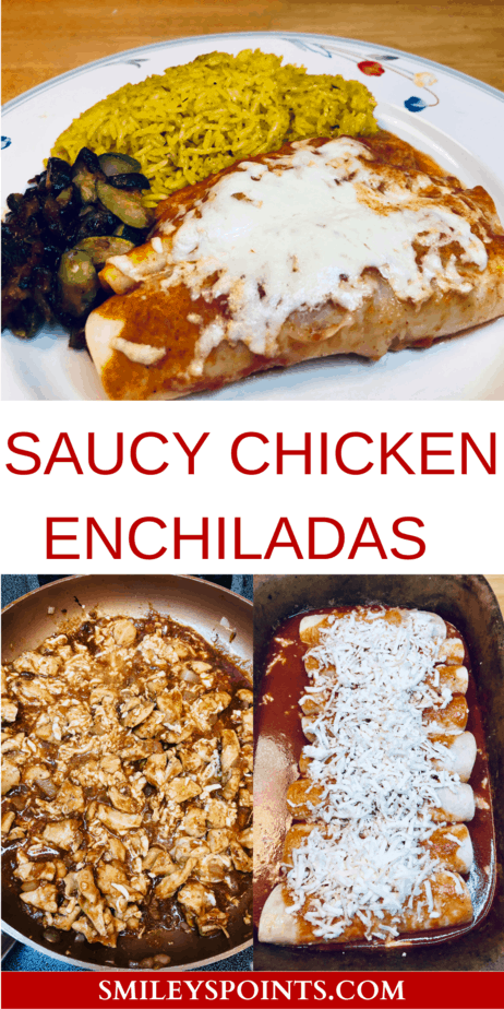 Saucy Chicken Enchiladas