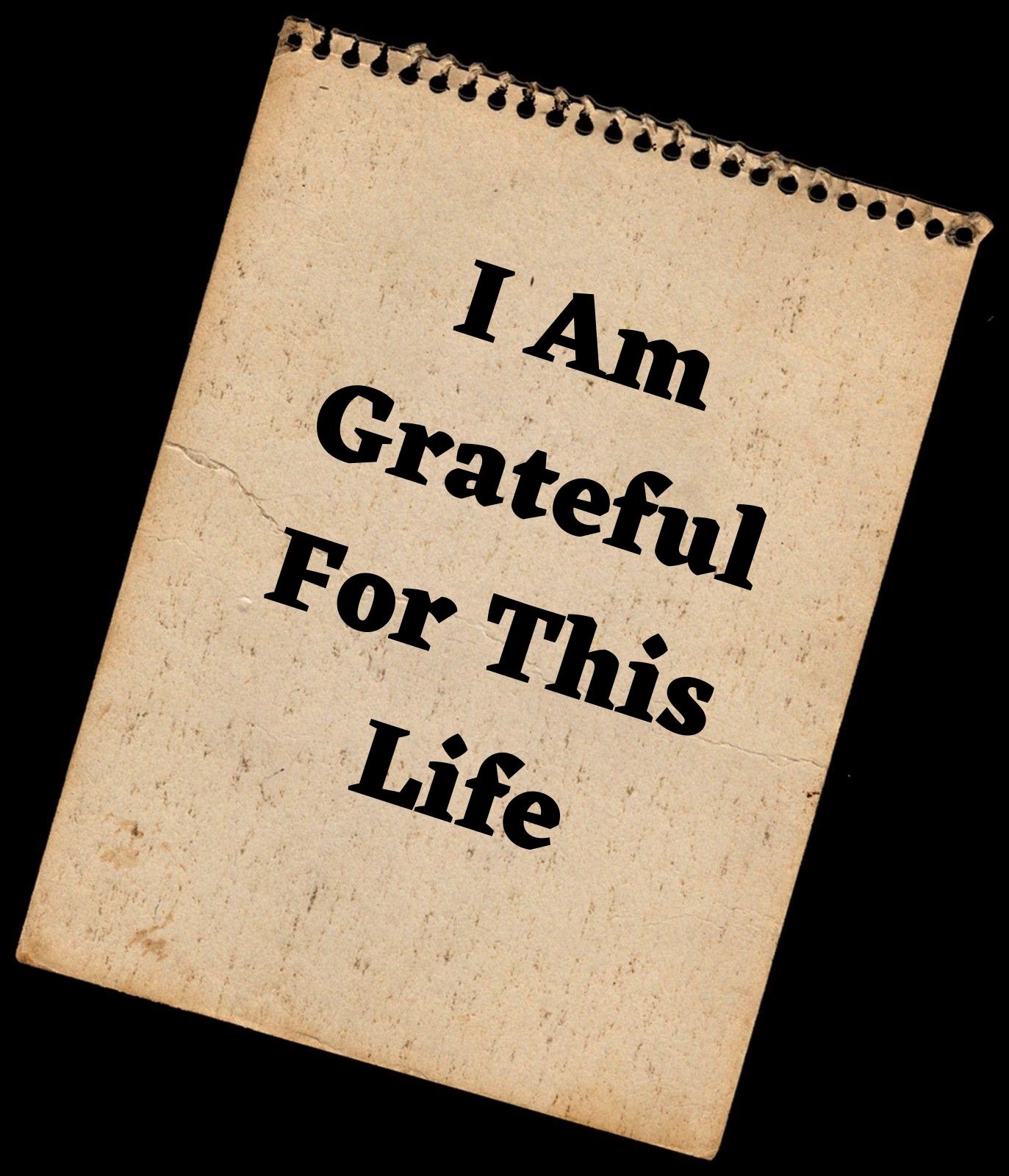  I am grateful for this life.