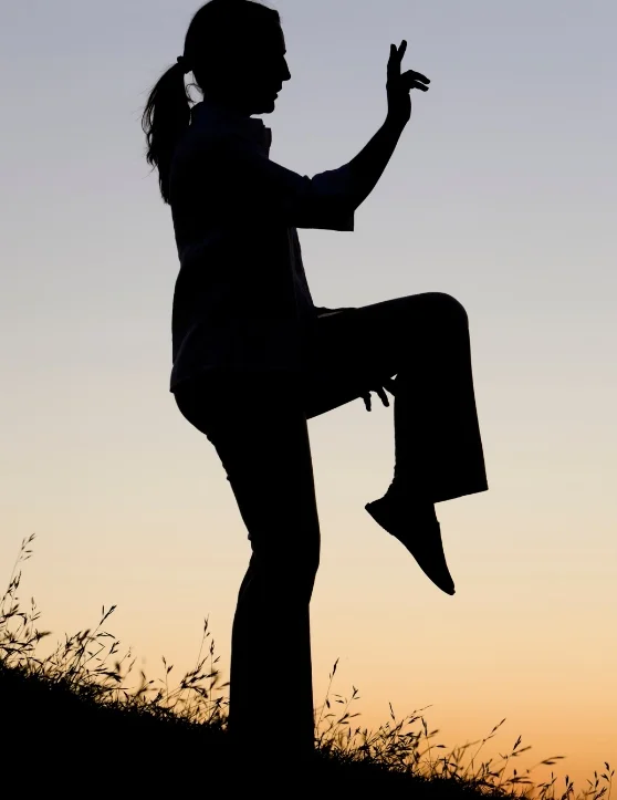 Against the canvas of a sunset sky, a woman's silhouette emanates tranquility as she strikes a tai chi pose