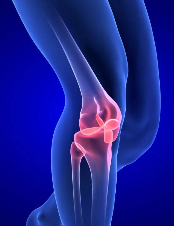 Inflammation In Joints