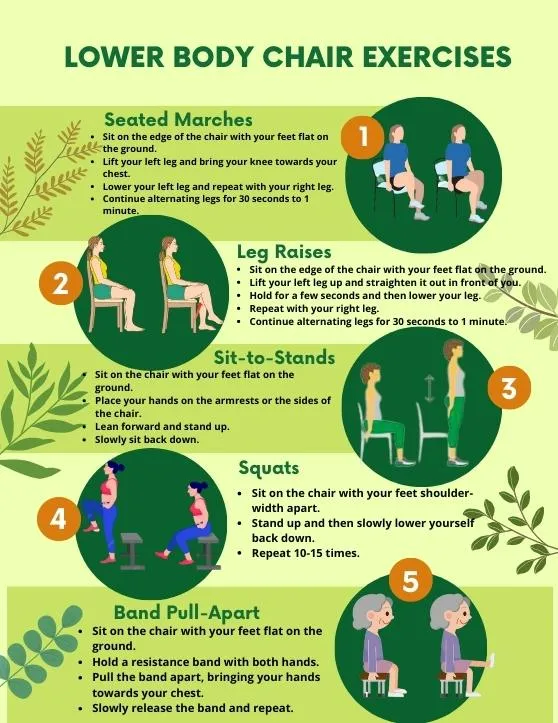 Lower Body Chair Exercises