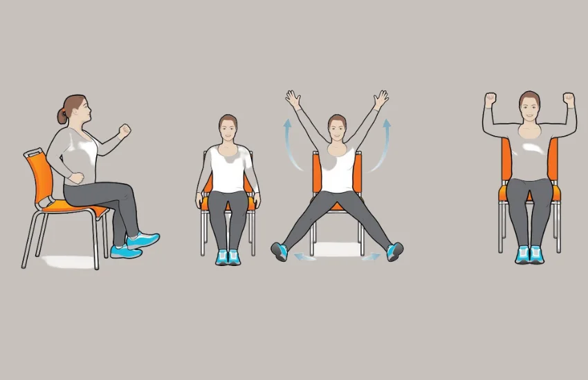 seated chair exercises