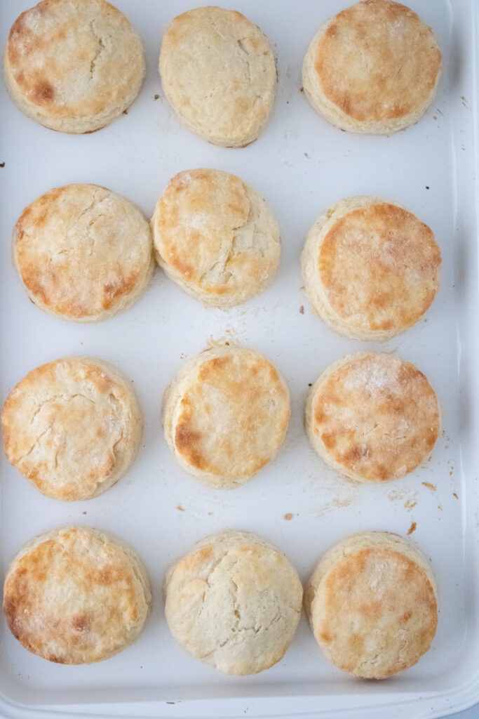 baked buttermilk biscuits on the baking plate