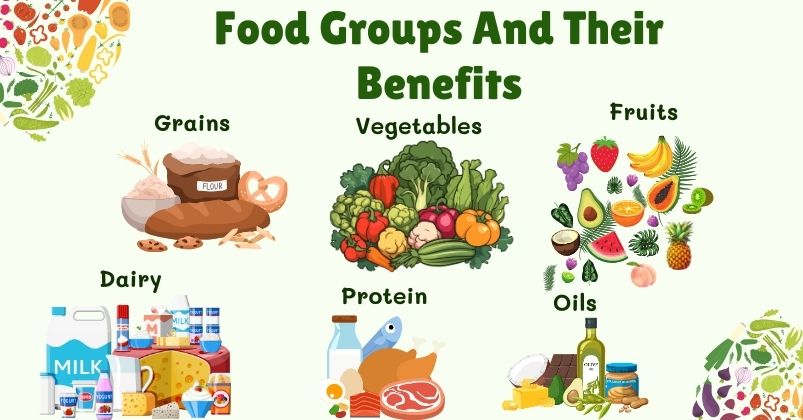 Types of foods include grains, vegetables, oils, fruits, dairy, and protein